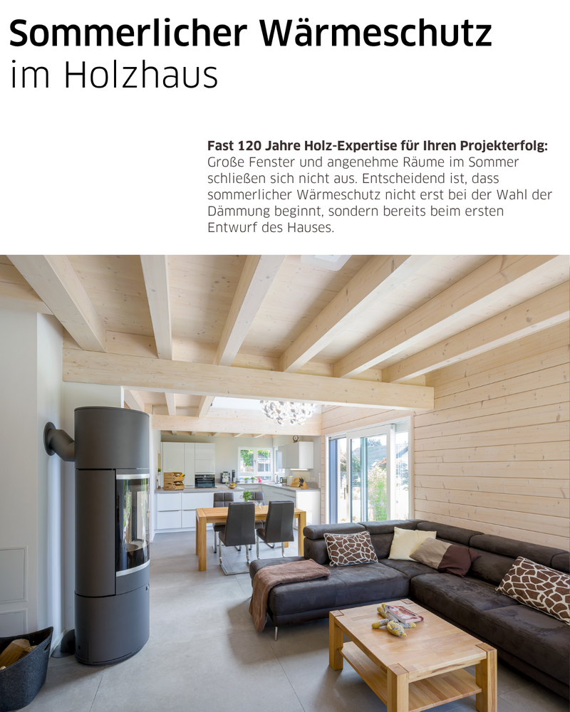 Detailansicht eines modernen Hauseingangs mit Putz- und Fassadenfläche, Fenster und Bepflanzung bei direkter Sonneneinstrahlung.