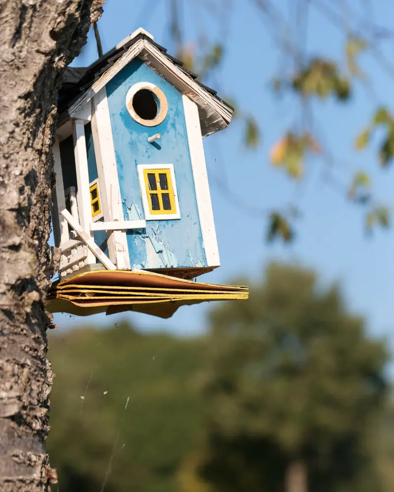 Blaues Vogelhaus an einem Baumstamm vor unscharfem Gartenhintergrund, passend zum Motiv Zuhause und Bauen mit Holz.