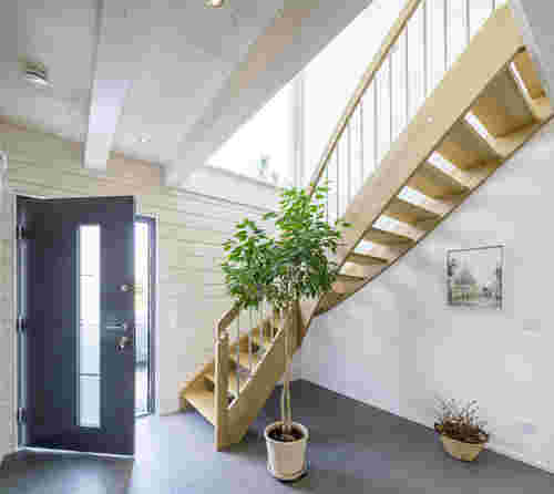 Holz-Treppenhaus im Bauhausstil mit Grünpflanze