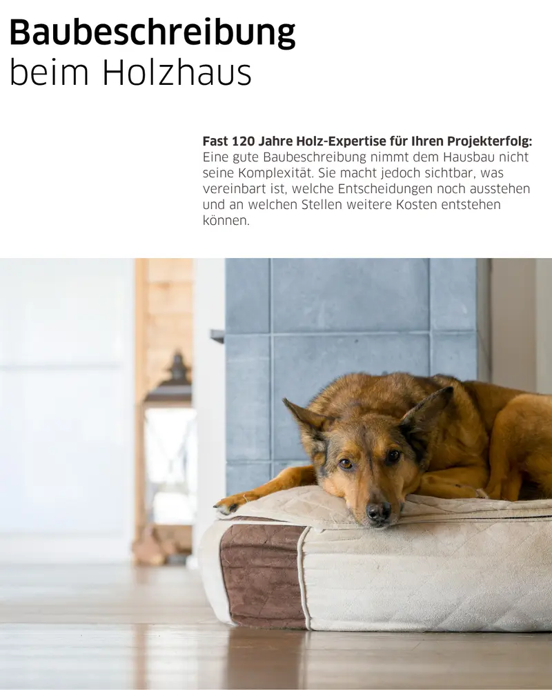 Gestaltetes Titelmotiv „Baubeschreibung beim Holzhaus“ mit kurzem Erklärungstext und einem Hund auf einem Liegekissen vor einem grauen Kaminofen.